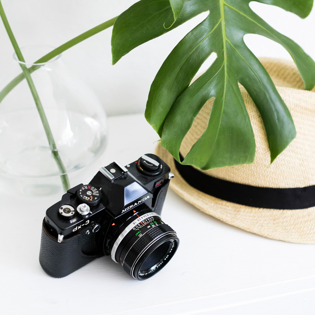 Camera, Hat, and Plant image by Social Squares