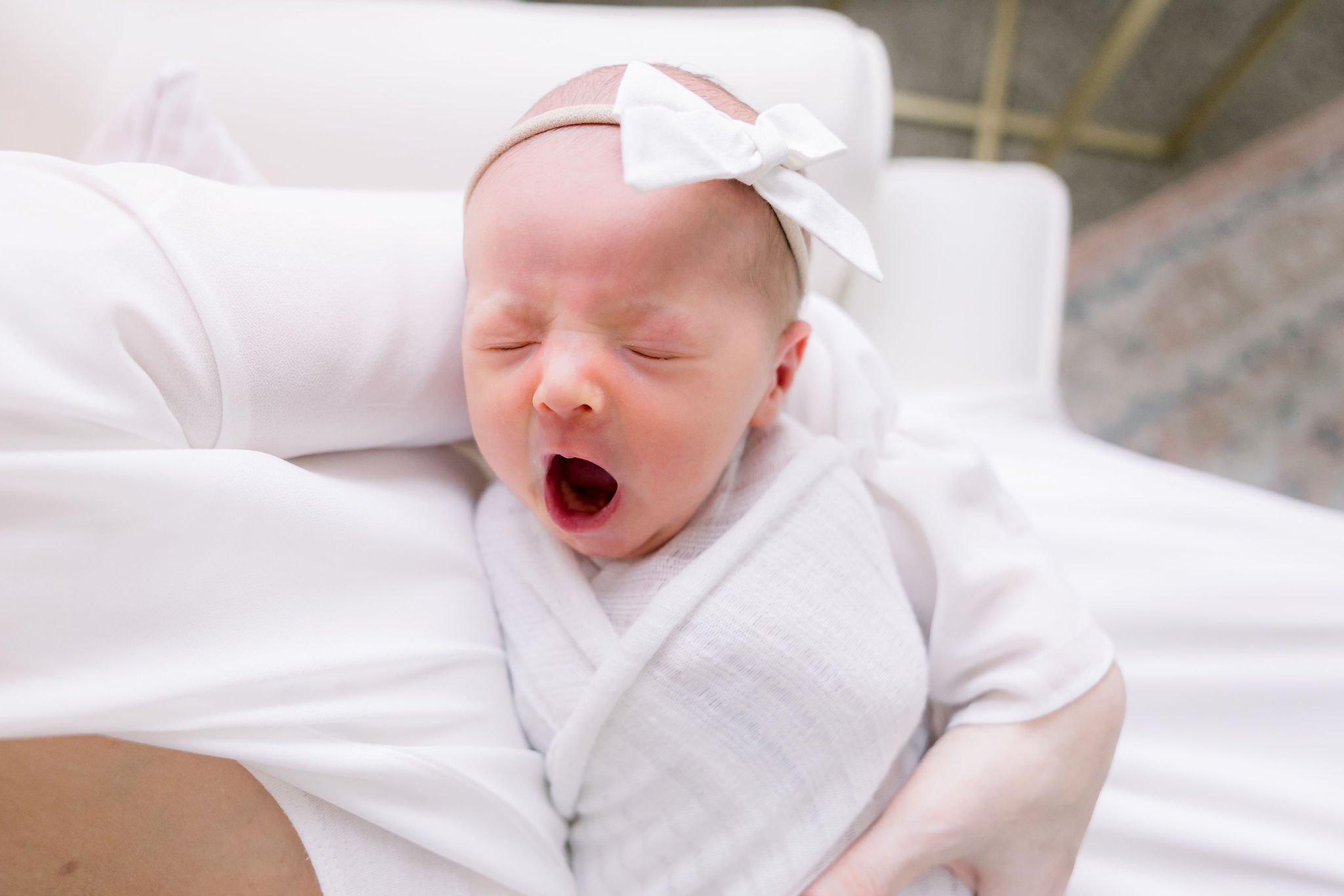 Yawning Sahara Image | Brenna Heater Photography